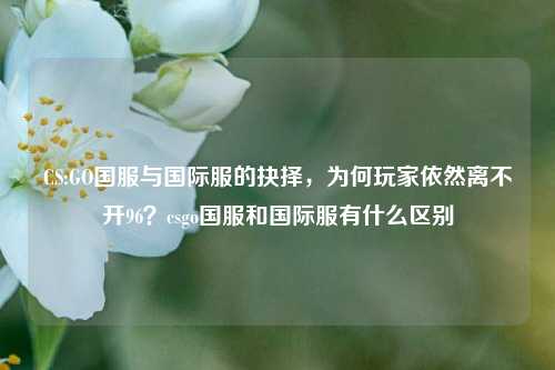 CS:GO国服与国际服的抉择，为何玩家依然离不开96？csgo国服和国际服有什么区别
