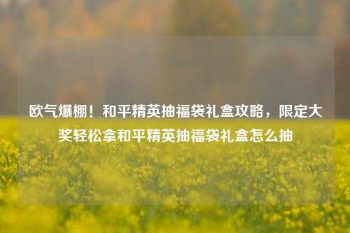 欧气爆棚！和平精英抽福袋礼盒攻略，限定大奖轻松拿和平精英抽福袋礼盒怎么抽