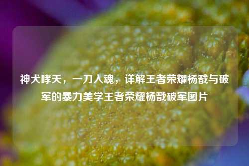 神犬哮天，一刀入魂，详解王者荣耀杨戬与破军的暴力美学王者荣耀杨戬破军图片