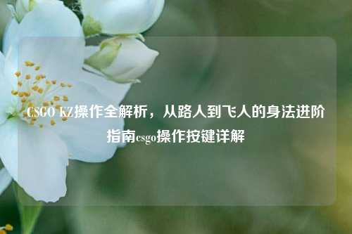 CSGO KZ操作全解析，从路人到飞人的身法进阶指南csgo操作按键详解