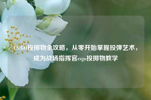 CS:GO投掷物全攻略，从零开始掌握投弹艺术，成为战场指挥官csgo投掷物教学