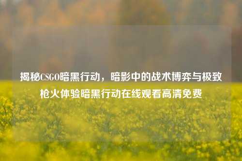 揭秘CSGO暗黑行动,暗影中的战术博弈与极致枪火体验暗黑行动在线观看高清免费