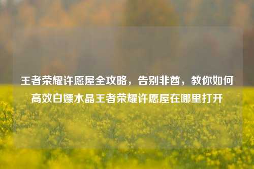 王者荣耀许愿屋全攻略，告别非酋，教你如何高效白嫖水晶王者荣耀许愿屋在哪里打开