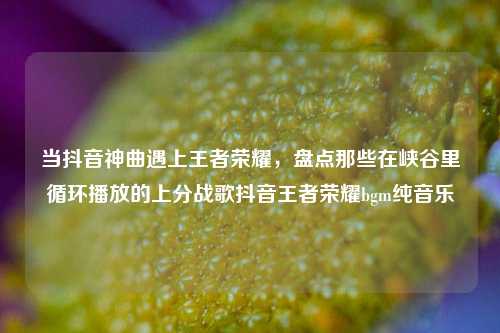 当抖音神曲遇上王者荣耀，盘点那些在峡谷里循环播放的上分战歌抖音王者荣耀bgm纯音乐