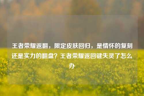 王者荣耀返翻，限定皮肤回归，是情怀的复刻还是实力的翻盘？王者荣耀返回键失灵了怎么办