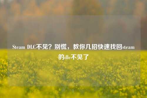 Steam DLC不见？别慌，教你几招快速找回steam的dlc不见了