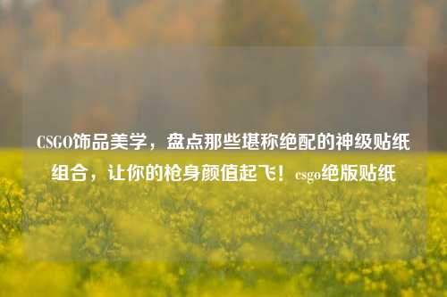 CSGO饰品美学，盘点那些堪称绝配的神级贴纸组合，让你的枪身颜值起飞！csgo绝版贴纸