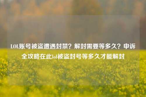 LOL账号被盗遭遇封禁?解封需要等多久?申诉全攻略在此lol被盗封号等多久才能解封