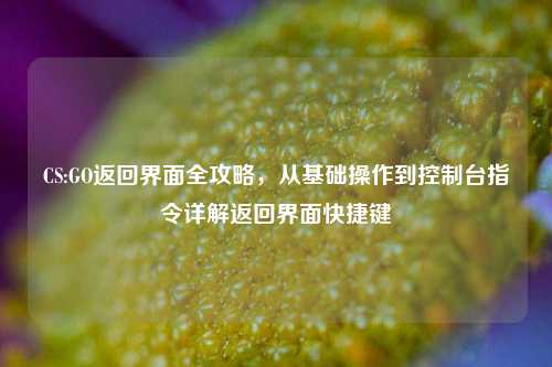 CS:GO返回界面全攻略，从基础操作到控制台指令详解返回界面快捷键