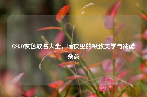 CSGO夜色取名大全，暗夜里的极致美学与冷酷杀意