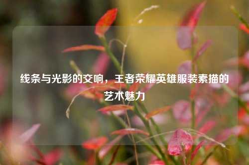 线条与光影的交响，王者荣耀英雄服装素描的艺术魅力