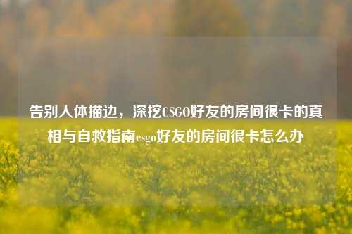 告别人体描边，深挖CSGO好友的房间很卡的真相与自救指南csgo好友的房间很卡怎么办