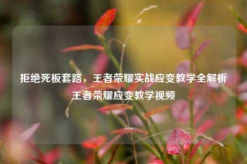 拒绝死板套路，王者荣耀实战应变教学全解析王者荣耀应变教学视频