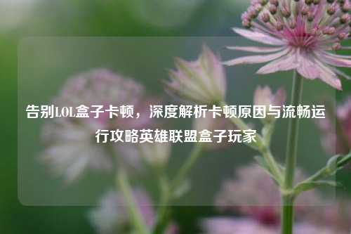 告别LOL盒子卡顿，深度解析卡顿原因与流畅运行攻略英雄联盟盒子玩家