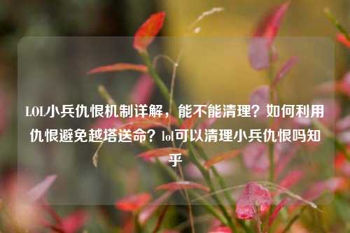 LOL小兵仇恨机制详解，能不能清理？如何利用仇恨避免越塔送命？lol可以清理小兵仇恨吗知乎