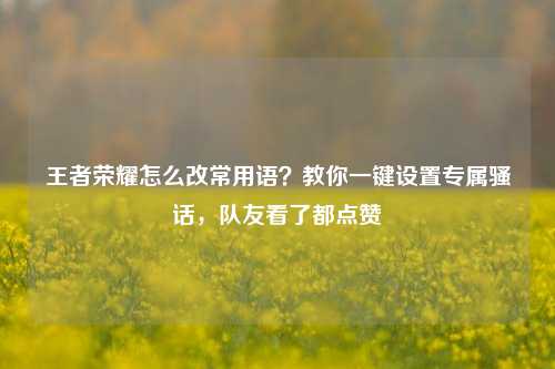 王者荣耀怎么改常用语？教你一键设置专属骚话，队友看了都点赞