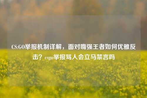CS:GO举报机制详解，面对嘴强王者如何优雅反击？csgo举报骂人会立马禁言吗