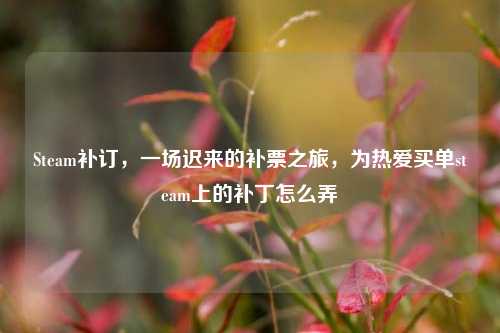 Steam补订，一场迟来的补票之旅，为热爱买单steam上的补丁怎么弄