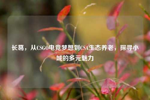 长葛,从CSGO电竞梦想到CSA生态养老,探寻小城的多元魅力
