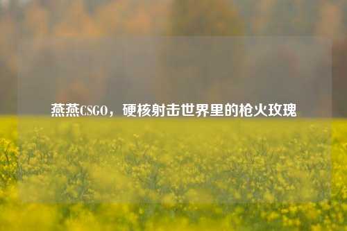 燕燕CSGO，硬核射击世界里的枪火玫瑰
