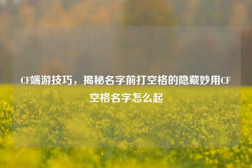CF端游技巧，揭秘名字前打空格的隐藏妙用CF空格名字怎么起