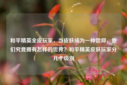 和平精英全皮玩家，当皮肤成为一种信仰，他们究竟拥有怎样的世界？和平精英皮肤玩家分几个级别