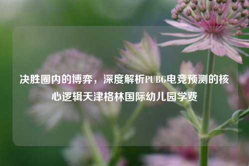 决胜圈内的博弈，深度解析PUBG电竞预测的核心逻辑天津格林国际幼儿园学费