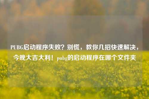PUBG启动程序失败？别慌，教你几招快速解决，今晚大吉大利！pubg的启动程序在哪个文件夹