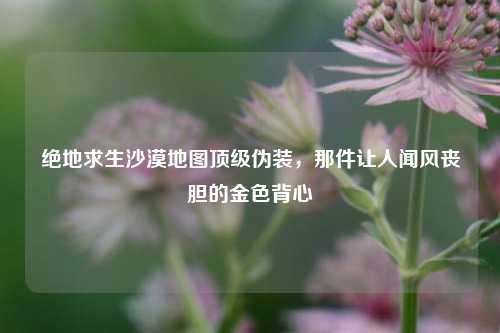 绝地求生沙漠地图顶级伪装，那件让人闻风丧胆的金色背心