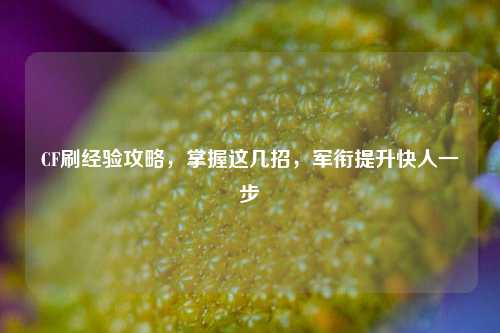 CF刷经验攻略，掌握这几招，军衔提升快人一步