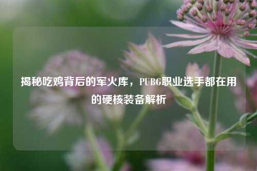 揭秘吃鸡背后的军火库，PUBG职业选手都在用的硬核装备解析