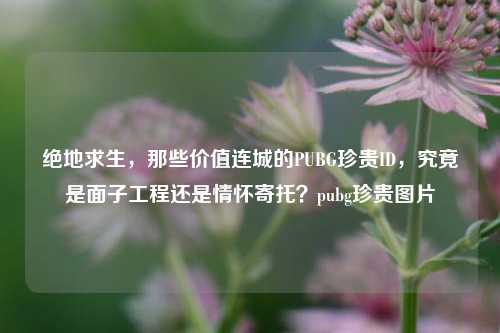 绝地求生，那些价值连城的PUBG珍贵ID，究竟是面子工程还是情怀寄托？pubg珍贵图片