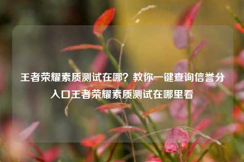 王者荣耀素质测试在哪？教你一键查询信誉分入口王者荣耀素质测试在哪里看
