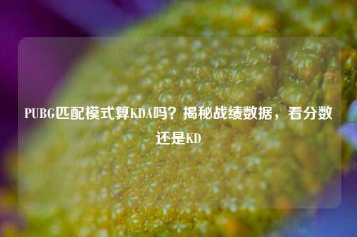 PUBG匹配模式算KDA吗？揭秘战绩数据，看分数还是KD