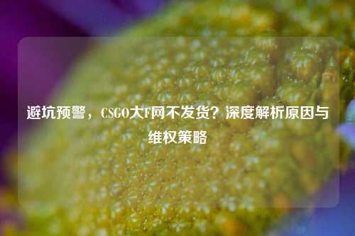 避坑预警，CSGO大F网不发货？深度解析原因与维权策略