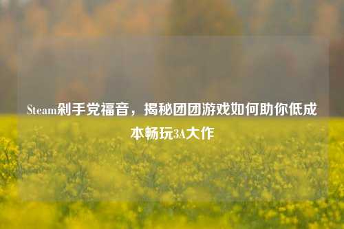 Steam剁手党福音，揭秘团团游戏如何助你低成本畅玩3A大作