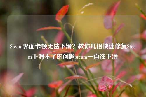 Steam界面卡顿无法下滑？教你几招快速修复Steam下滑不了的问题steam一直往下滑