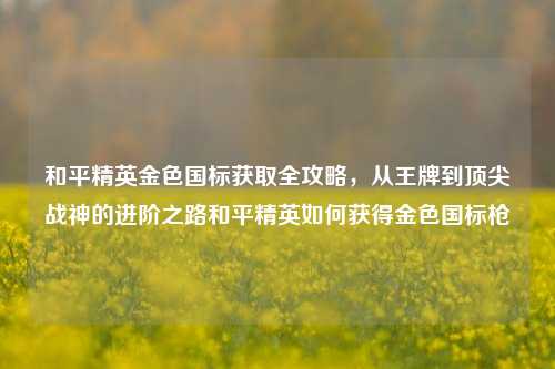 和平精英金色国标获取全攻略，从王牌到顶尖战神的进阶之路和平精英如何获得金色国标枪
