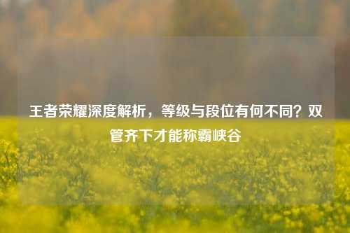 王者荣耀深度解析，等级与段位有何不同？双管齐下才能称霸峡谷