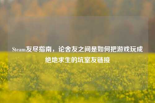 Steam友尽指南，论舍友之间是如何把游戏玩成绝地求生的坑室友链接