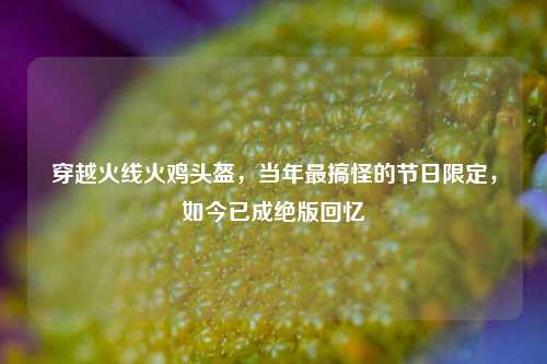 穿越火线火鸡头盔，当年最搞怪的节日限定，如今已成绝版回忆