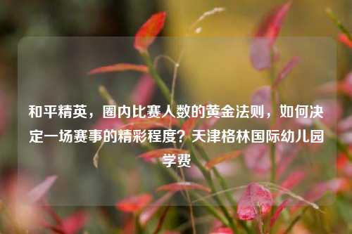 和平精英，圈内比赛人数的黄金法则，如何决定一场赛事的精彩程度？天津格林国际幼儿园学费