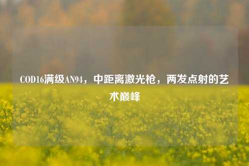 COD16满级AN94，中距离激光枪，两发点射的艺术巅峰