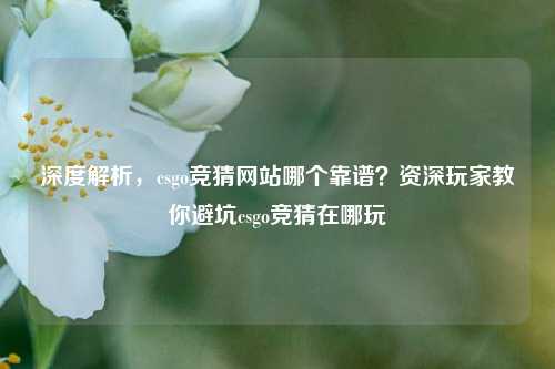 深度解析，csgo竞猜网站哪个靠谱？资深玩家教你避坑csgo竞猜在哪玩