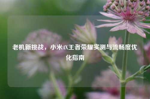 老机新挑战，小米4X王者荣耀实测与流畅度优化指南