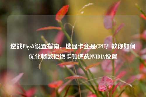 逆战PhysX设置指南，选显卡还是CPU？教你如何优化帧数拒绝卡顿逆战NVIDIA设置