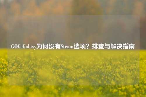 GOG Galaxy为何没有Steam选项？排查与解决指南