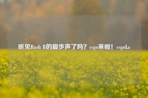 听见Rush B的脚步声了吗？csgo来啦！csgoLa
