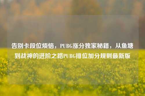 告别卡段位烦恼，PUBG涨分独家秘籍，从鱼塘到战神的进阶之路PUBG排位加分规则最新版