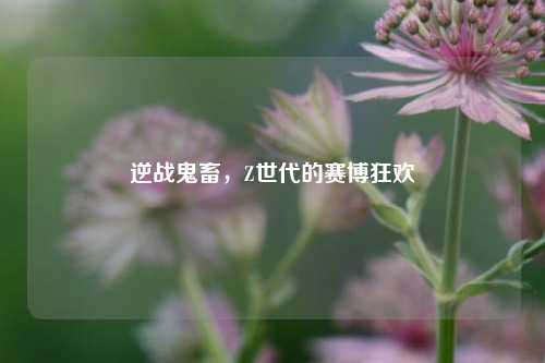 逆战鬼畜，Z世代的赛博狂欢